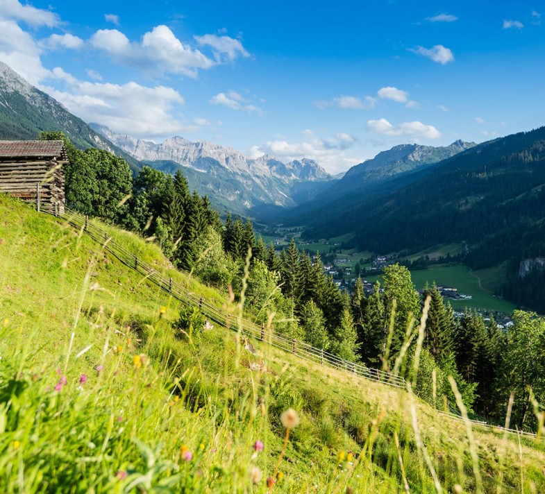 Sommerlandschaft © Wagrain-Kleinarl Tourismus