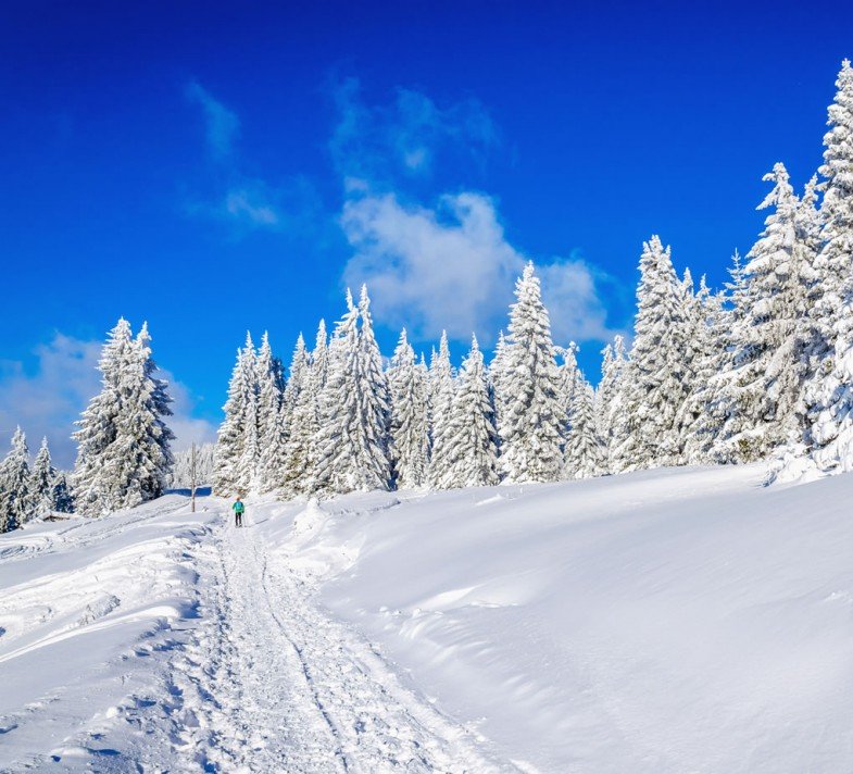 Winterwandern in Kleinarl